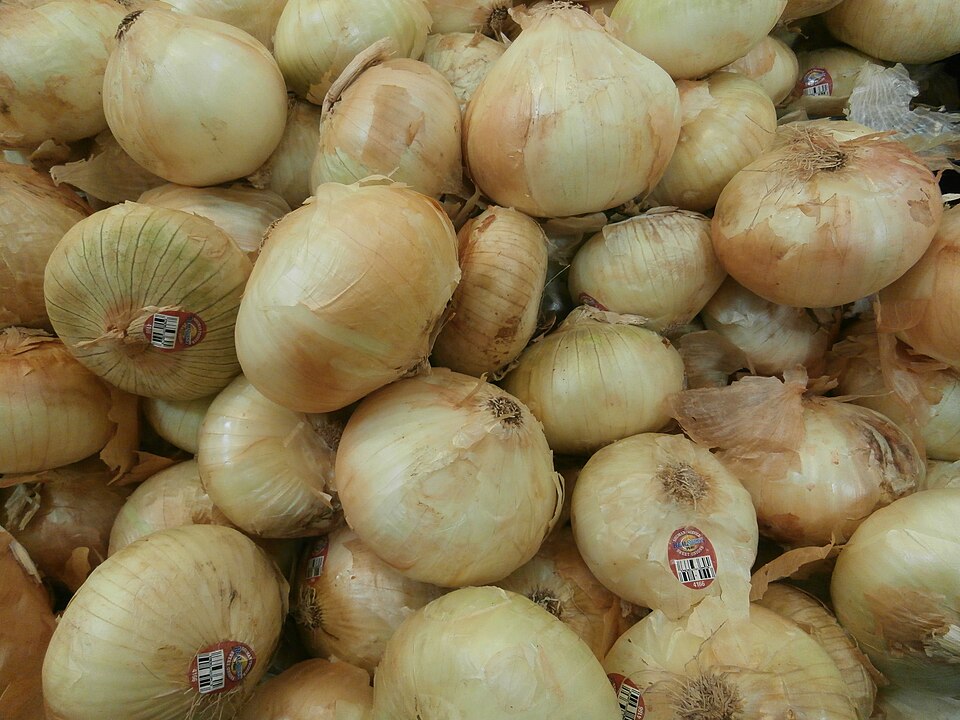 Onions for bulk trade