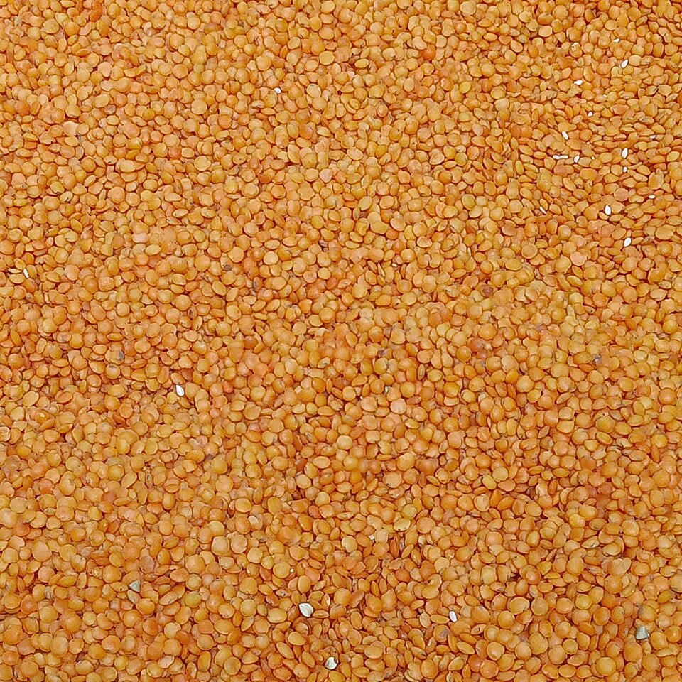 Red lentils